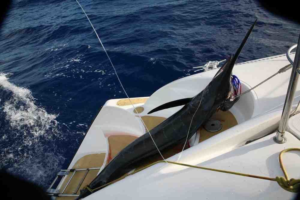 Hotel Tahiti Sail And Dive Vaitape Zewnętrze zdjęcie